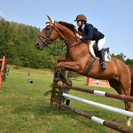 Residenza D'epoca Il Biribino Hotel 3*