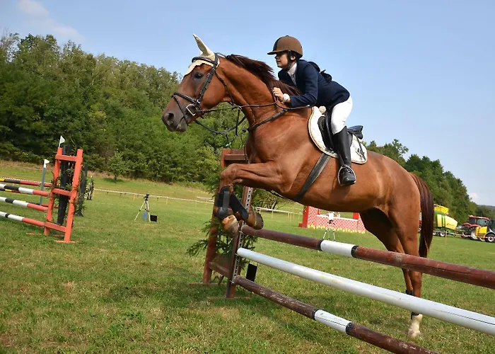 Residenza D'epoca Il Biribino فندق 3*