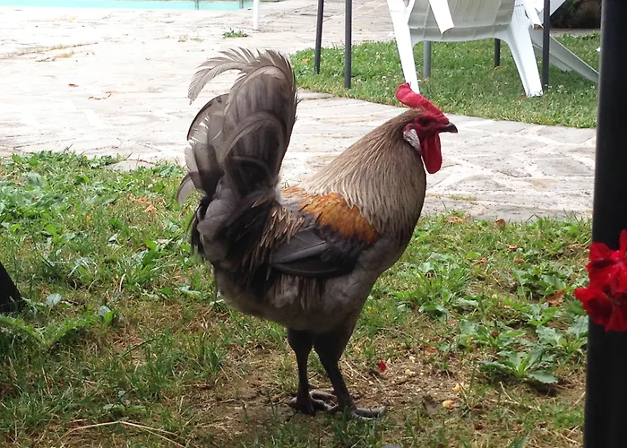 Residenza D'epoca Il Biribino 3*