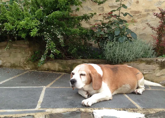 Residenza D'epoca Il Biribino فندق تْشيتّا دي كاستيلّو