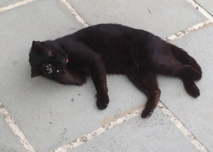 Residenza D'epoca Il Biribino 3* تْشيتّا دي كاستيلّو